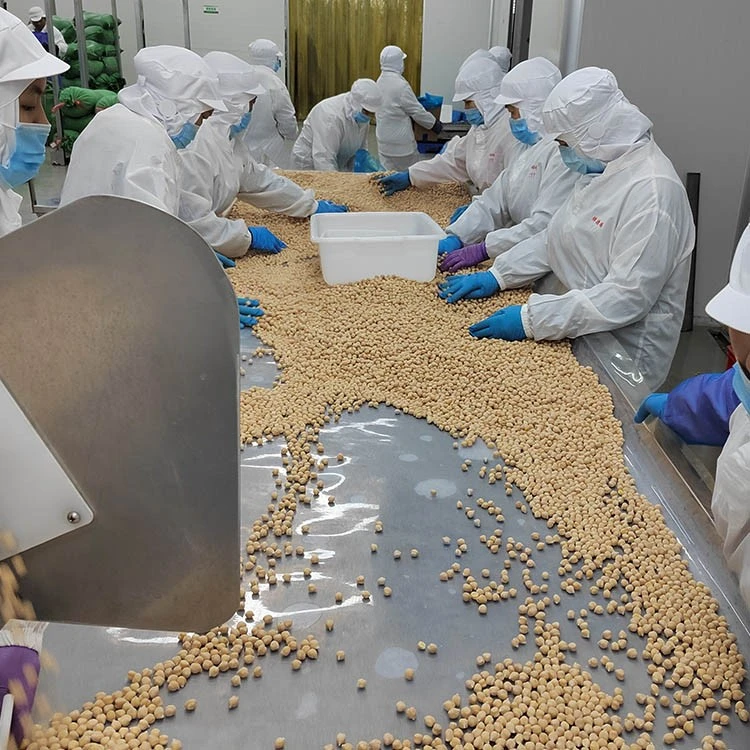 Whole Frozen Chickpeas Whole frozen chickpeas for hummus salads ready meals and OEM packs