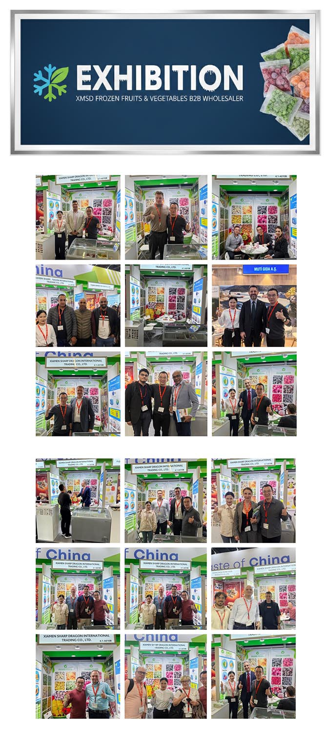 XMSD exhibition XMSD exhibition