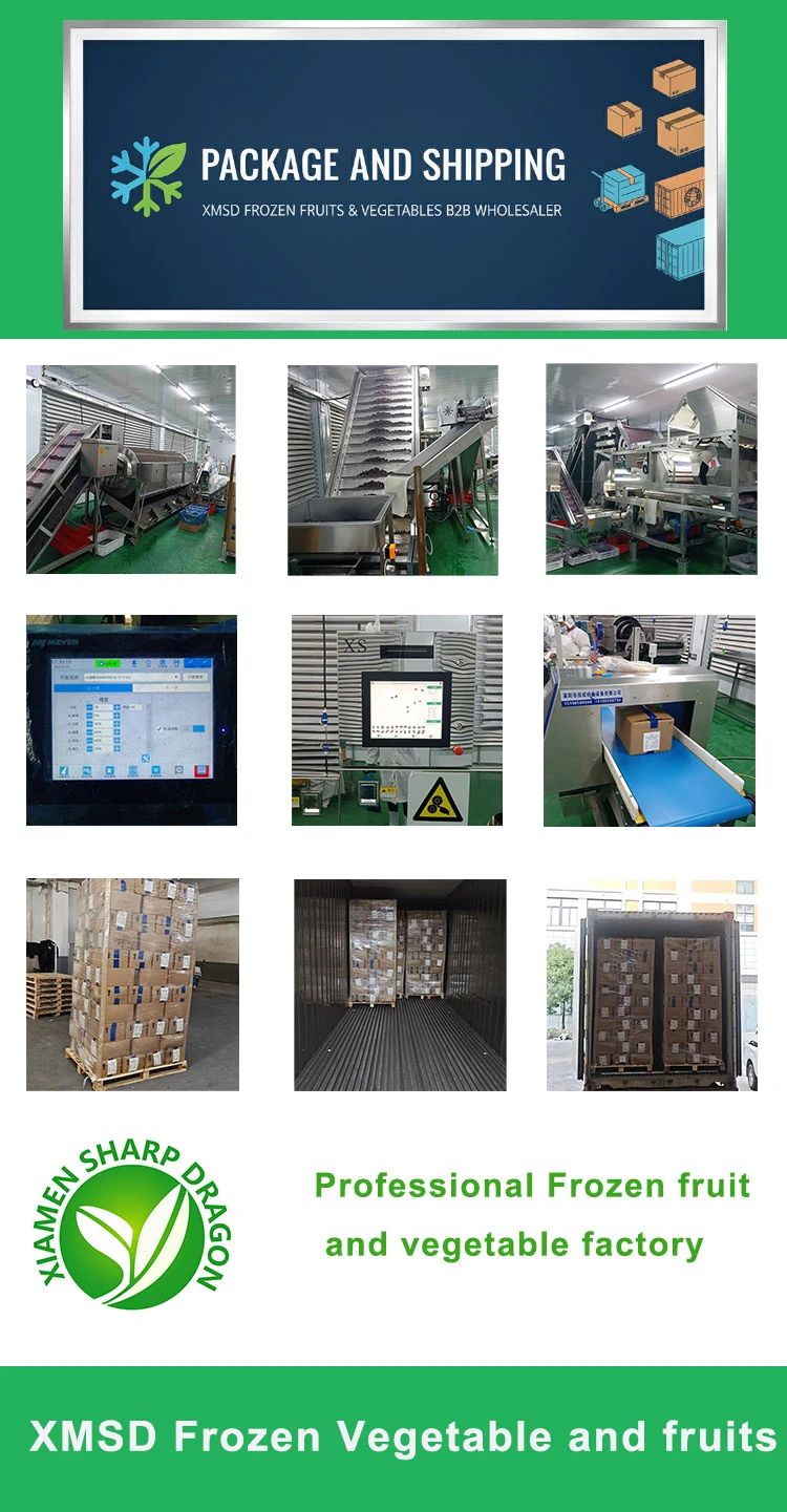 Frozen food inspection pallet and refrigerated loading evidence connected to cargo release