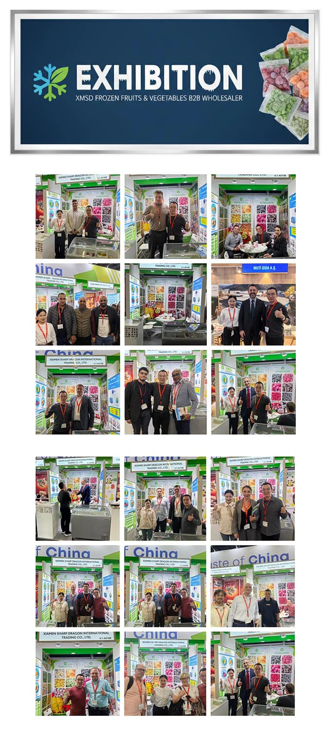 XMSD exhibition XMSD exhibition