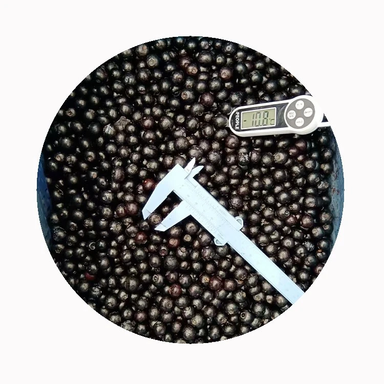 iqf-cultivated-blueberries