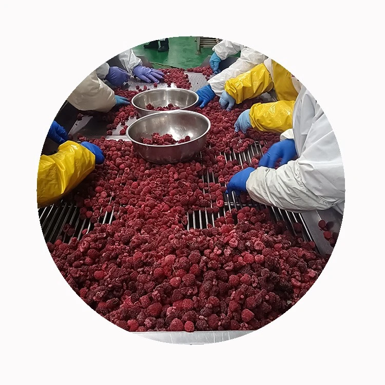 bulk-frozen-raspberries-wholesale
