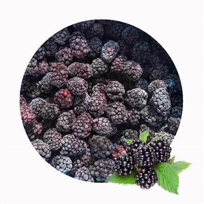 IQF Frozen Blackberry Supplier for Bulk Wholesale