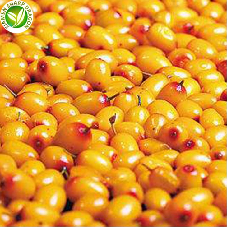 IQF-style whole golden sea buckthorn berries Golden frozen sea buckthorn berries with intact skins