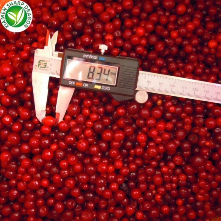 IQF Lingonberry Fruit