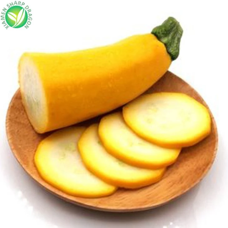 Buy Wholesale Zucchini