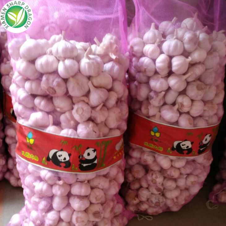 Fresh White Garlic On Alibaba