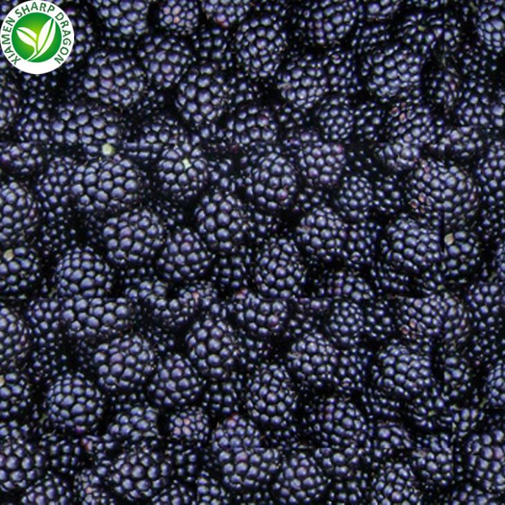 Frozen Blackberries In Bulk