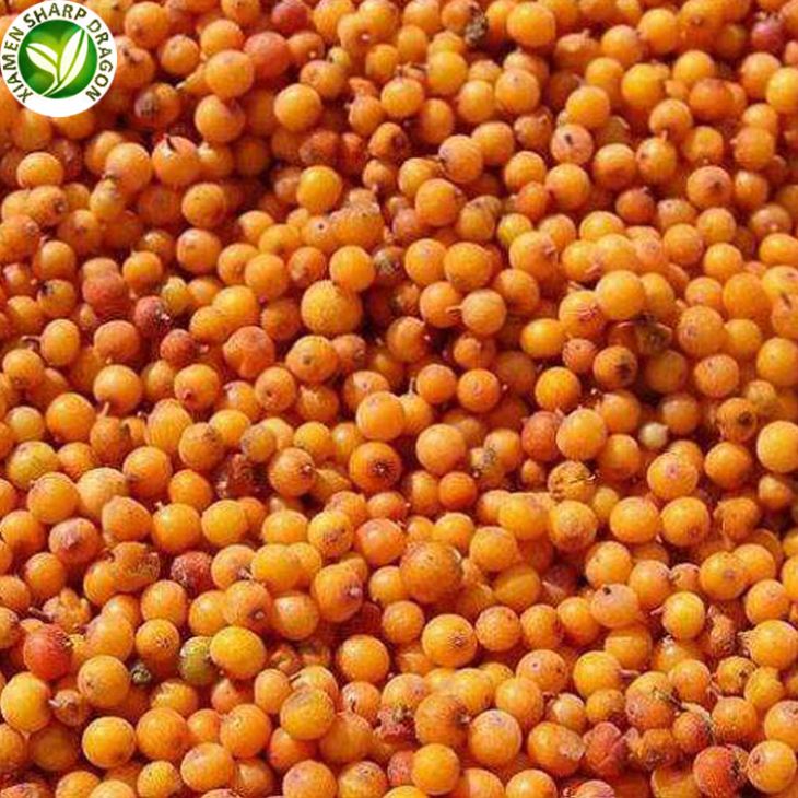 Frozen Sea Buckthorn Berries For Sale