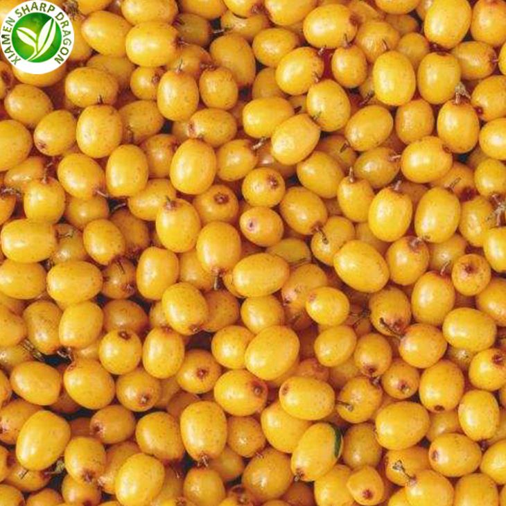 Frozen Yellow Sea Buckthorn