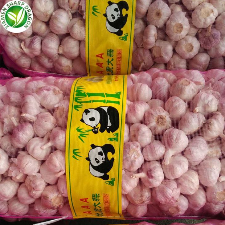 Garlic In Bulk