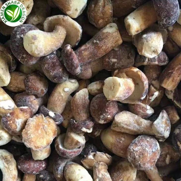 Porcini Mushroom Price
