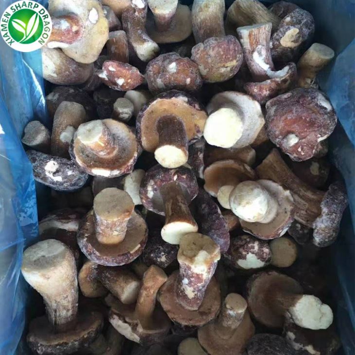 Porcini Mushrooms Sale