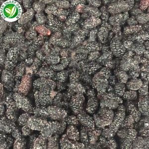 Black Mulberry Fruit Price