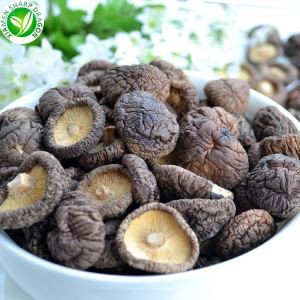 Dried Shiitake Mushrooms Wholesale