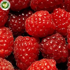 Raspberry Fruit Buy Online