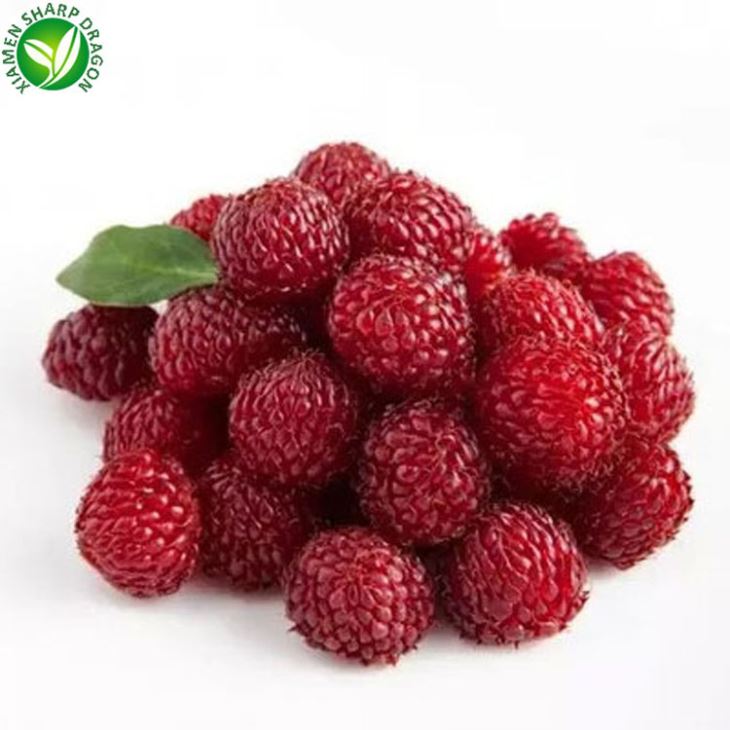 Wholesale Frozen Raspberry For All Season