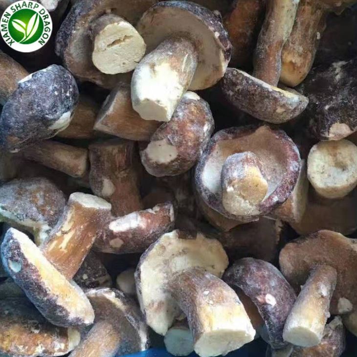 Wild Porcini Mushroom