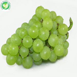 2020 Grape Prices
