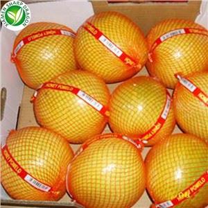 Fresh Grapefruit Prices