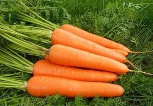 Frozen Organic Carrots