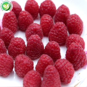 Frozen Raspberry Fruit Price Per Kg