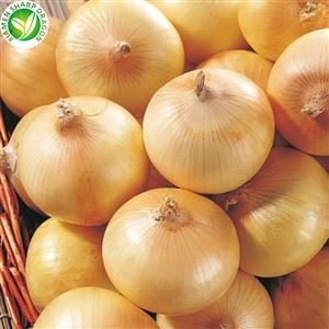 Organic Onion