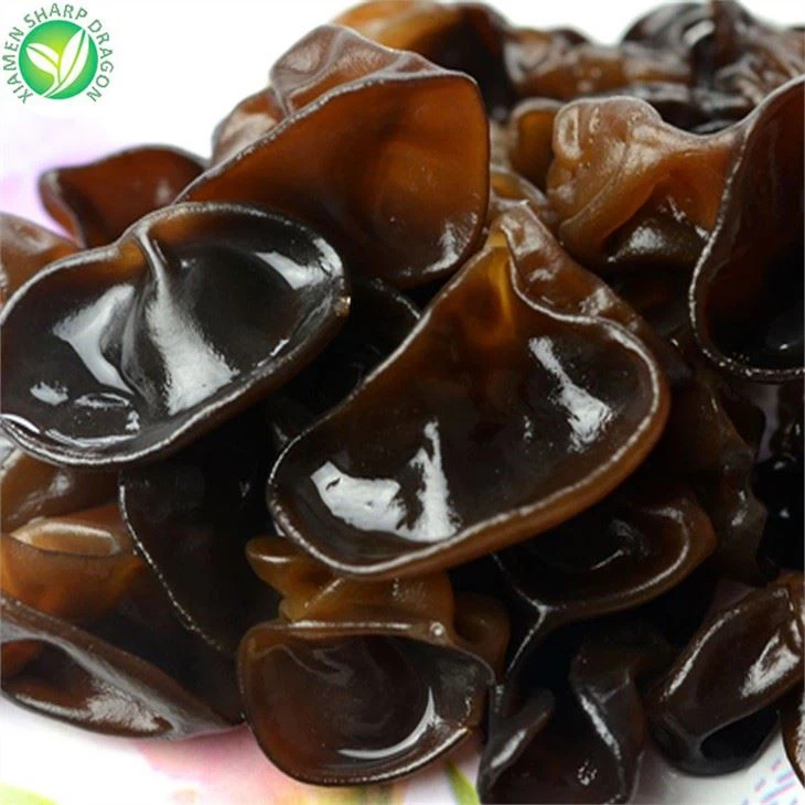 Black Fungus Mushroom