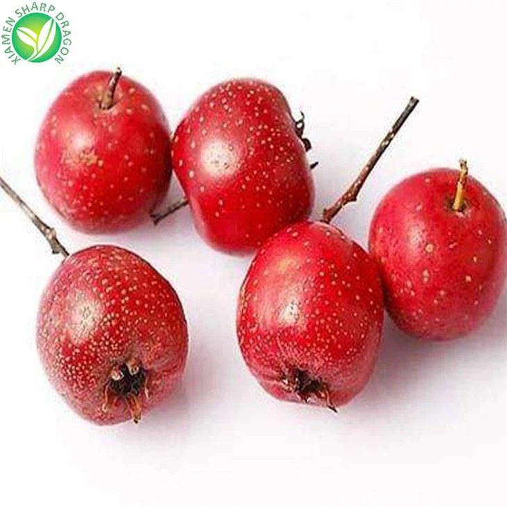 Frozen Hawthorn Berries