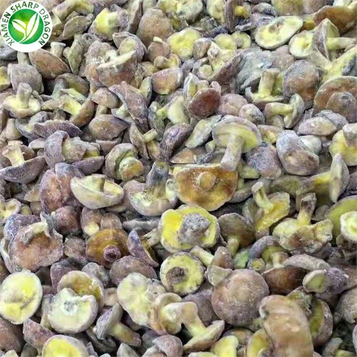 Matsutake Mushrooms For Sale