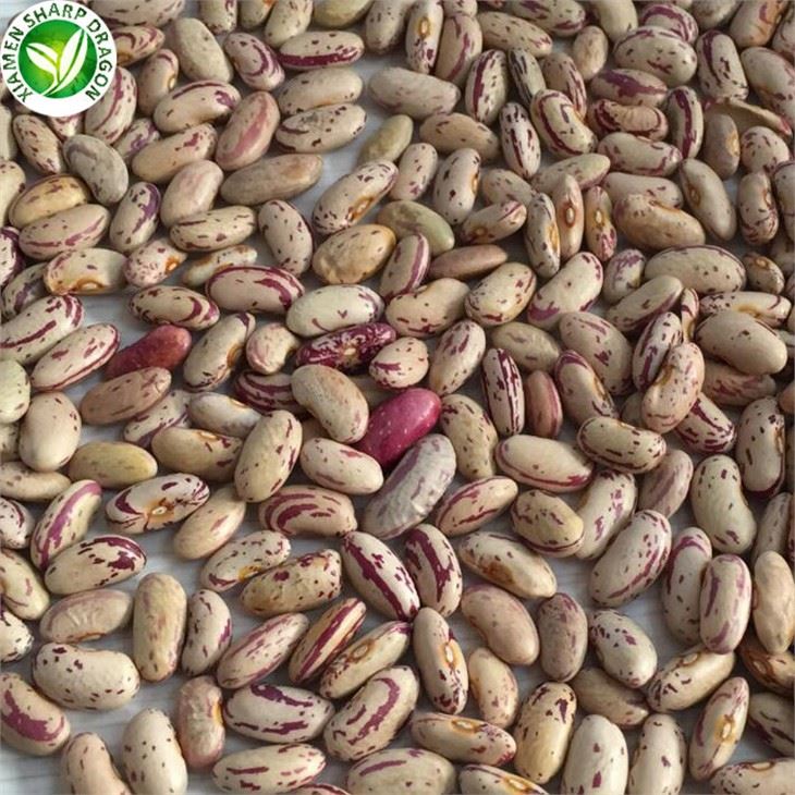New Crop New Kidney Beans