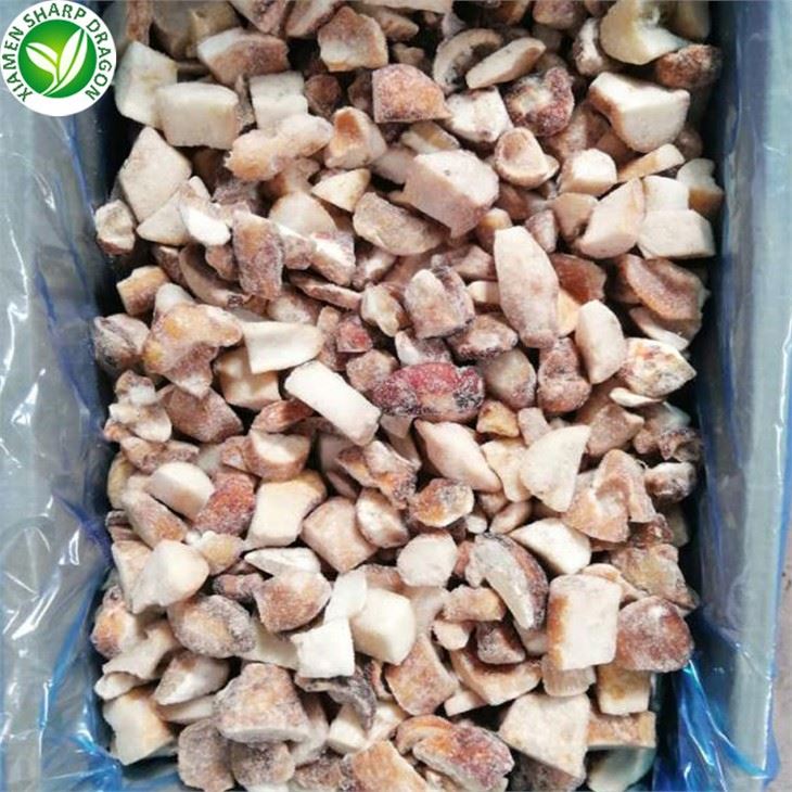 New Crop Porcini Mushroom