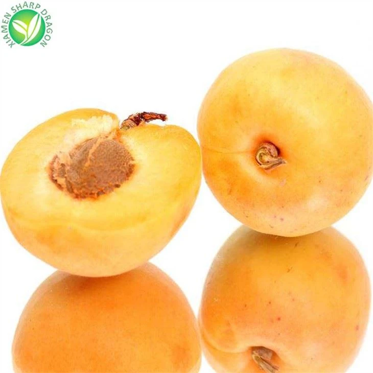 Whole apricots and a pitted half illustrating the edible fruit material