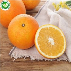 Making Juice Fresh Oranges