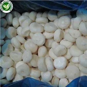 Water Chestnut In Chinese