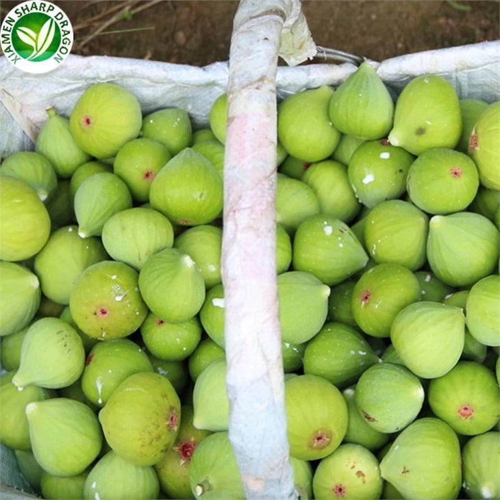 1 Kg Fig Fruit Price