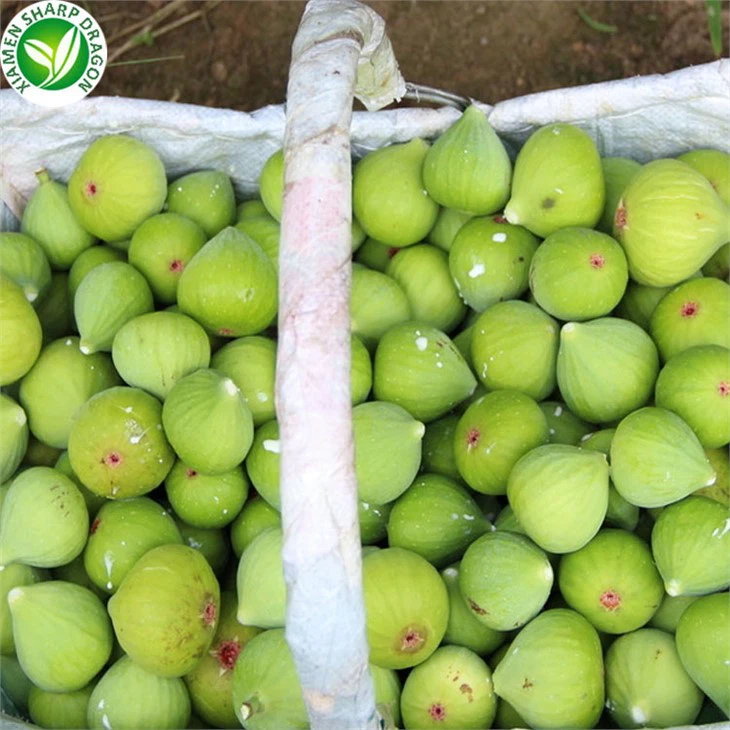 1KG Packed Figs
