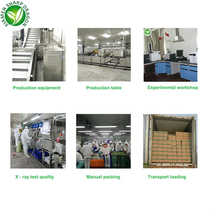 Frozen Vegetable Processing and Packing Facilities Frozen vegetable production and packing facilities shown in a process collage
