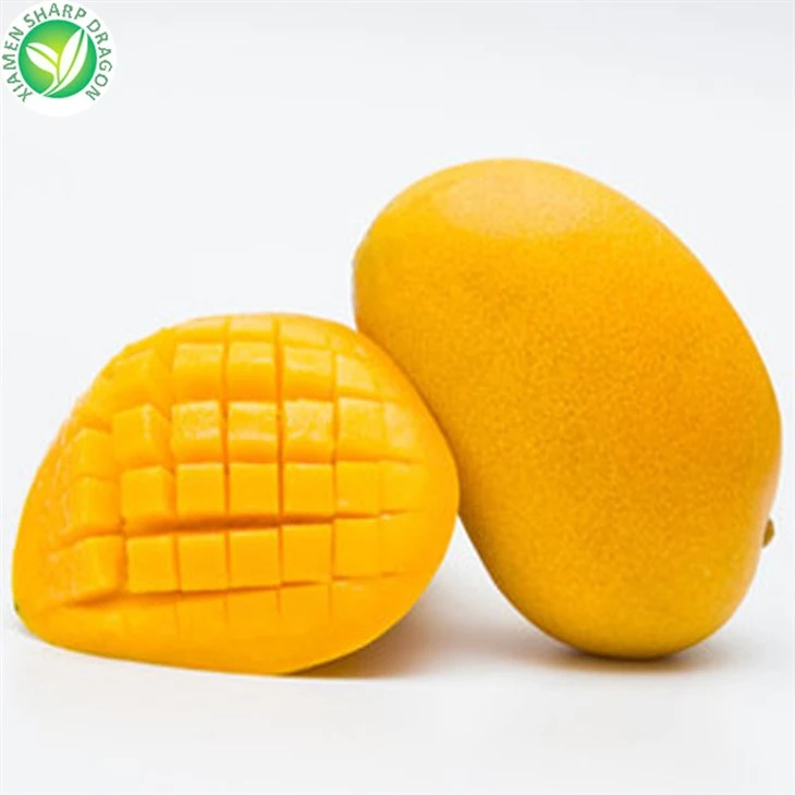 Freezing Mango Cubes