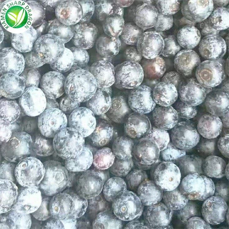 Frozen Blueberry Latest Price