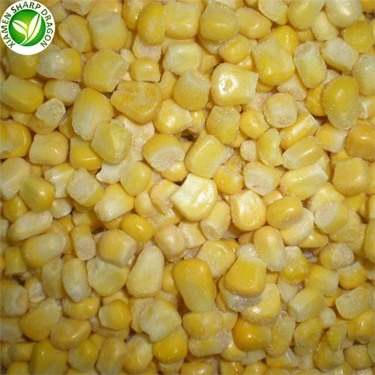 Close view of individually frozen sweet corn kernels with surface frost