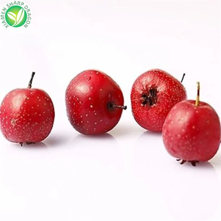 Frozen Hawthorn Berries