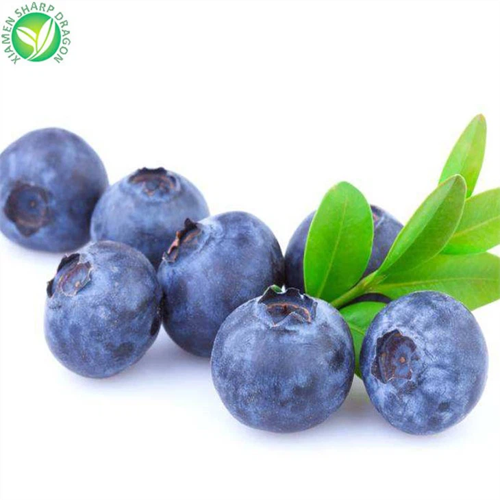 Iqf Blueberry Market
