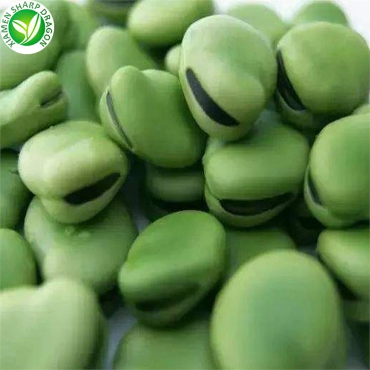 Iqf Broad Beans