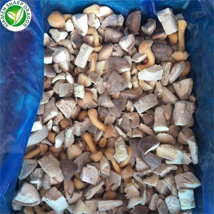 New Crop Porcini Mushroom