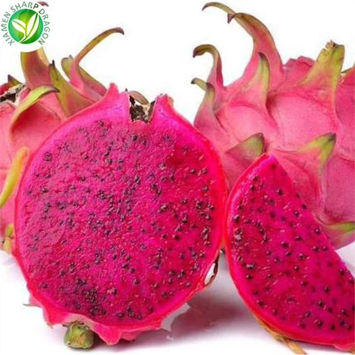 Pitaya Fruit Frozen