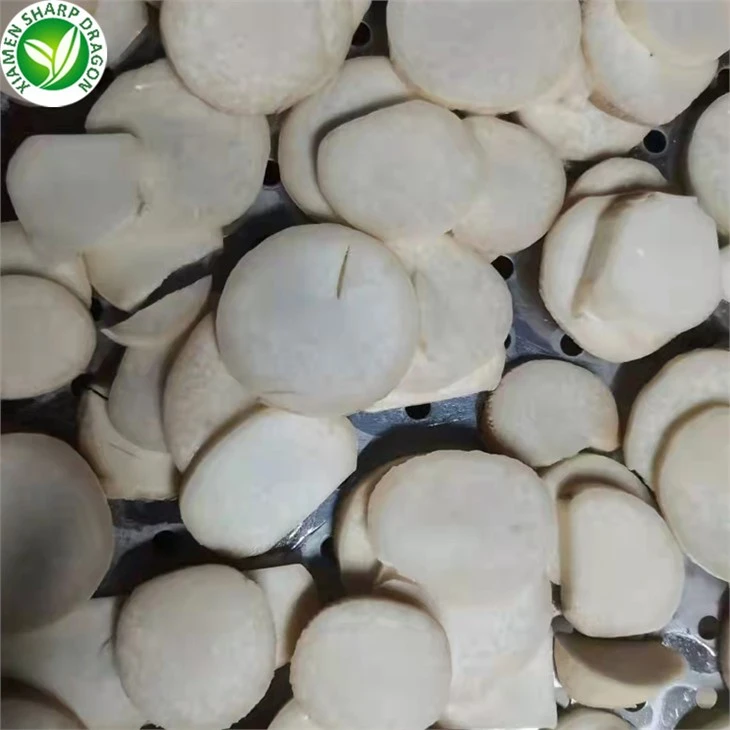 Pleurotus Eryngii Mushrooms