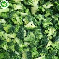 Frozen broccoli florets used across global channels Loose IQF broccoli florets showing a common frozen vegetable format