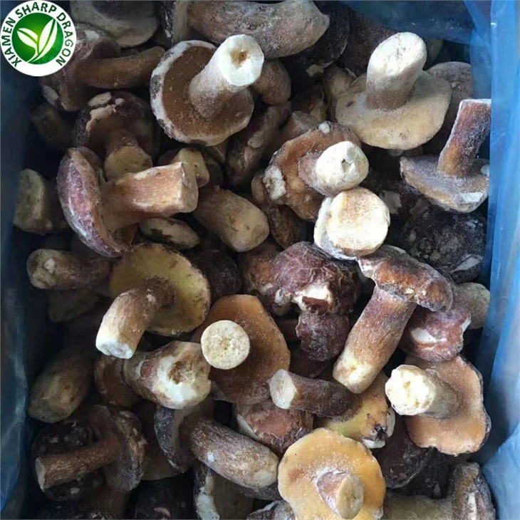 The Price Of Delicious Porcini Mushrooms