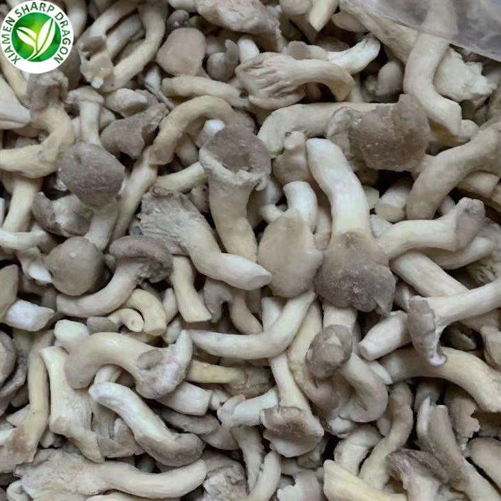 IQF Oyster Mushroom